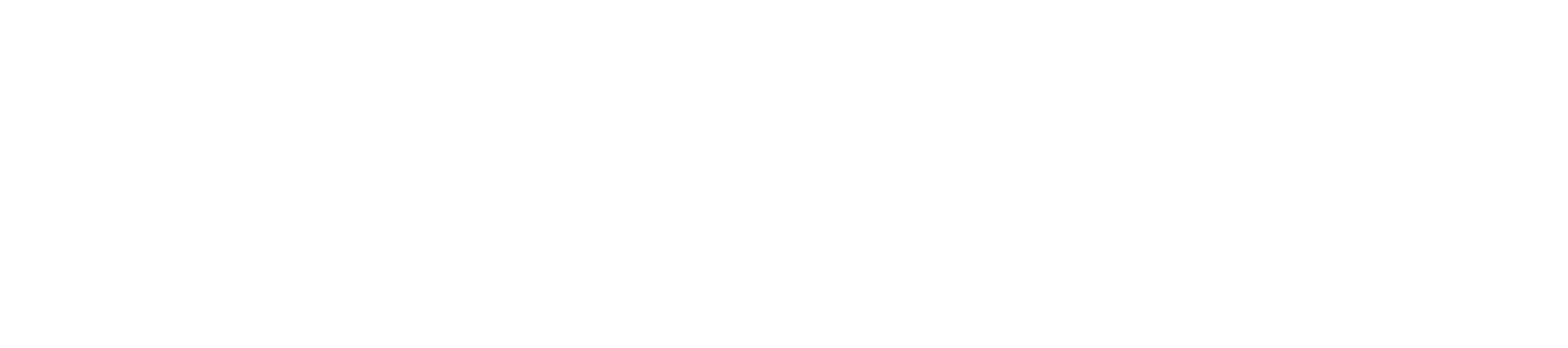 Newz Group Logo in White.